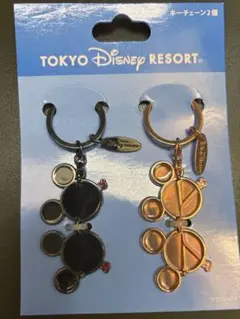 東京ディズニーリゾート サングラスキーホルダー 2個セット