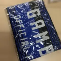 ガンバ大阪　2025 ファンクラブタオル