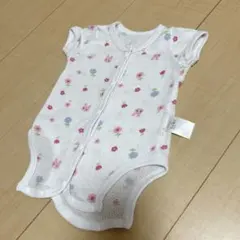 本日限定価額 大人気完売 早いもの勝ち
