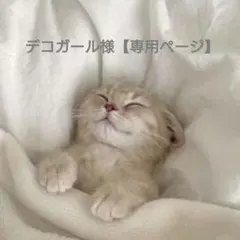 デコガール様【専用ページ】