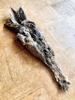 Item thumbnail for item e0d71315-1c41-4e19-9564-5c114440d528