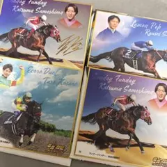 2026年最新】競馬トレーディングカードの人気アイテム - メルカリ