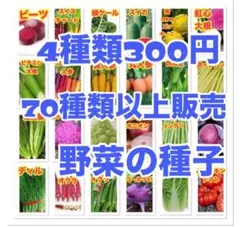 pepi様 リクエスト 2点 まとめ商品