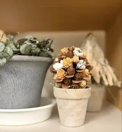 まつぼっくりツリー