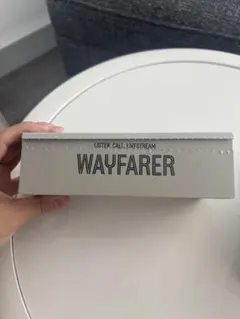 Ray ban META WAYFARER RW4006