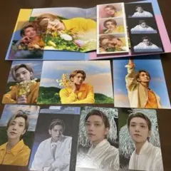 SEVENTEEN SECTOR 17 ジョシュア