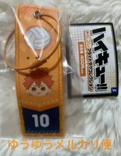 ハイキュー‼︎ みにコレ　フライトタグコレクション　日向翔陽