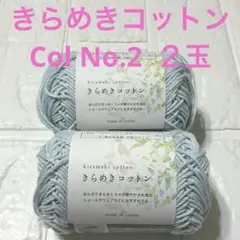 セリア きらめきコットン 毛糸 2玉セット 同一ロット No.2