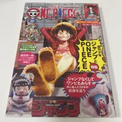 ワンピースマガジン　プロモ付録付き