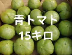 青トマト資材込み15キロのサムネイル
