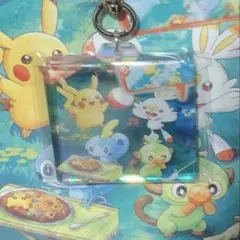 ポケモンセンター　アクリルキーホルダー　ピカチュウ　ヒバニー　サルノリ　メッソン