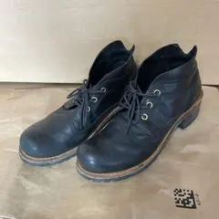 Item thumbnail for item c2f91a09-0bfa-483f-8389-09bc1cc2481b