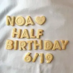 【お名前・日にちオーダー】ハーフバースデー フェイククッキー モチーフセット