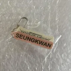 SEVENTEEN RIGHT HEREガチャ アクリルキーホルダー スングァン