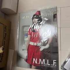 水樹奈々 LIVE FLIGHT 2024 ツアーパンフレット