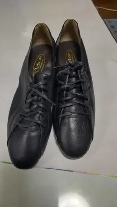 Item thumbnail for item fb2f18d0-54d2-43e2-aa49-3b5de7c6da12