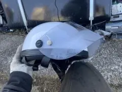 Item thumbnail for item 195c1673-10e8-4e60-9467-f60c763ea4b7