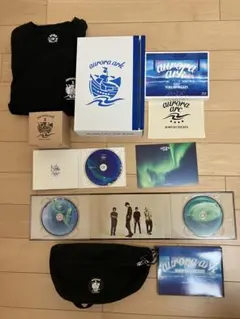 BUMP OF CHICKEN aurora ark DVD グッズまとめ売り