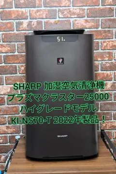 Item thumbnail for item 55098324-a953-48ff-83fb-96a0811703a3