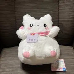 Item thumbnail for item 18de112a-5682-45a1-9890-ef350e8618ba