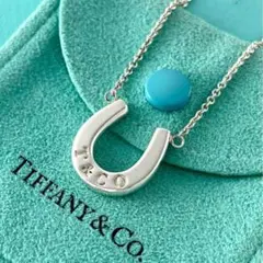2026年最新】中古 TIFFANY&Co. ホースシューの人気アイテム - メルカリ
