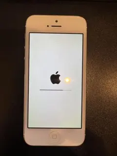 Apple iPhone 5 シルバー 16GB