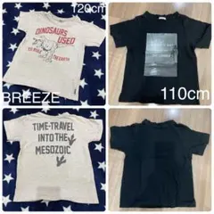 Item thumbnail for item 54c379f2-5f22-43c2-8c12-78b202e3dca0