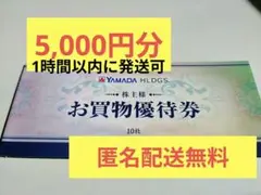ヤマダ　株主優待　5,000円分