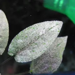 mi-yu様 リクエスト 2点 まとめ商品