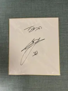 阪神タイガース  藤田健斗捕手  直筆サイン色紙 阪神タイガース 藤田健斗捕手 直筆サイン色紙 2025年最新】Yahoo