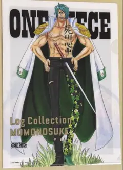 ワンピース　ログコレクション　購入特典　クリアファイル　8点セット ONE PIECE Log Collection特典クリアファイル ドレスローザ全8種