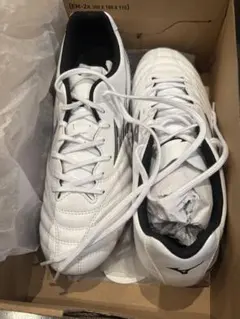 Mizuno Monarcida NEO III Select 26.0cm