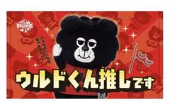 ウルドくん必勝だるまぬいぐるみキーホルダー ウルフドッグス名古屋
