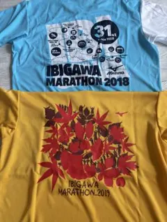 Mizuno いびがわマラソンTシャツ 2018・2019