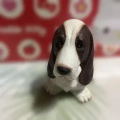 2026年最新】バセットハウンドの人気アイテム - メルカリ