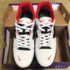 新品未使用 NIKE SB ISHOD WAIR (WHT/BLK/RED)