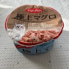 Item thumbnail for item 1e292d78-5754-4d86-a345-15a31108b657