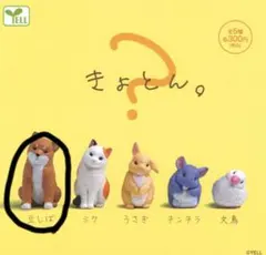 2026年最新】カプセル豆しばの人気アイテム - メルカリ