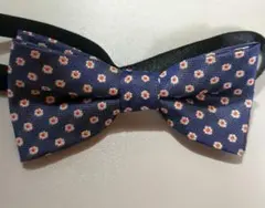 Item thumbnail for item a9972ebc-82c2-4e8f-b5c6-b4a44bf37678