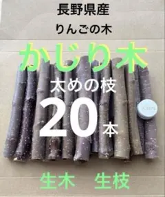 Item thumbnail for item ce5638c6-a8e4-412e-8d29-3fc1628c4257