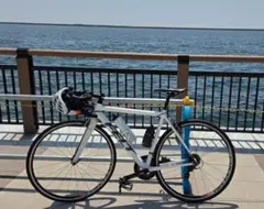 FELT F75 完成車 2*11sのサムネイル