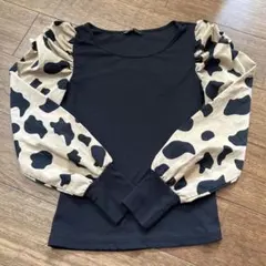 Item thumbnail for item 577ab0fa-9fa9-48c0-9717-2183058105ee