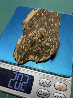 専用ベトナム産香木「沈香伽羅]原木9.18g 茶道具 六國五味伽羅聞香 香