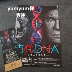 yumyum様専用 古代DNA展の無料観覧券　2枚
