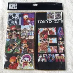 ディズニー アンコールザモーメント ミニタオル
