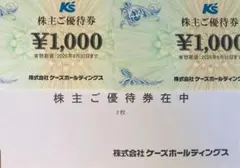 12000円分 ケースデンキ 株主優待 ケーズホールディングス