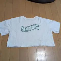 レピピ　Tシャツ　M　ショート丈