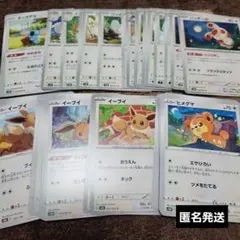 ポケカ無色タイプ　ホシガリス　イーブイ　ヒグマ　ネッコラ　ポケカまとめ売り