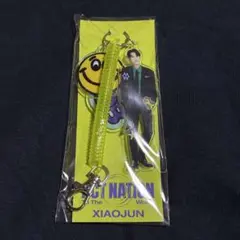 WayV LAND マスコットキーホルダー シャオジュン XIAOJUN 2026年最新】Wayv シャオジュン キーホルダーの人気アイテム - メルカリ