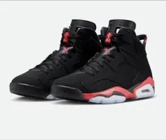 NIKE Air Jordan 6 インフラレッド